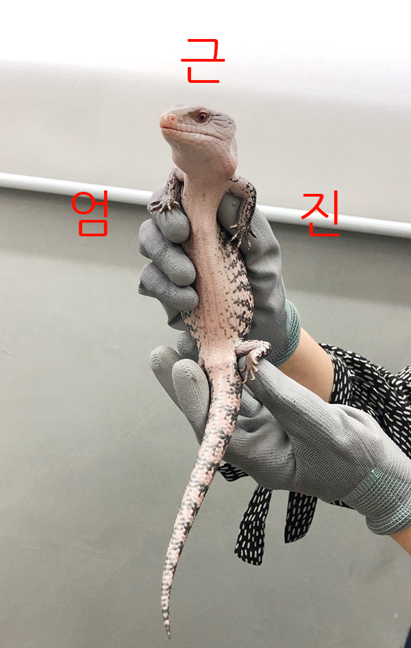 KakaoTalk_20190405_144813445_24.jpg