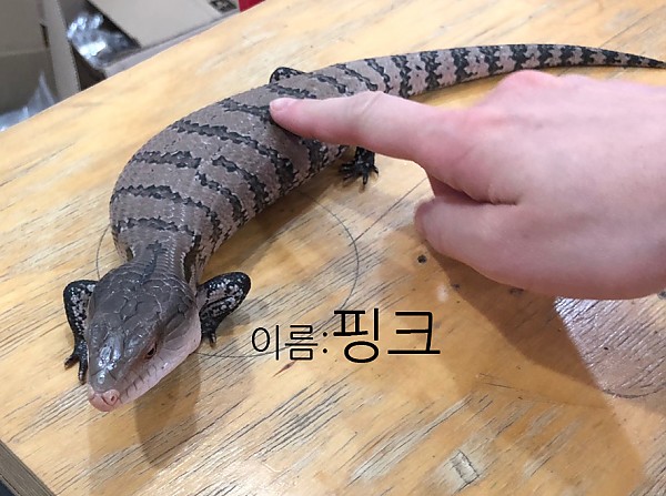 KakaoTalk_20190405_144813445_03.jpg